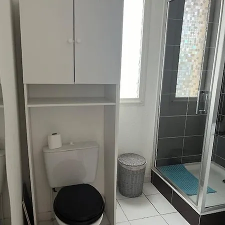 Charmant T2 Avec Terrasse Et Parking, Proche Plage, Piscine, Quartier Richelieu, Pour 4 Personnes - Fr-1-749-68 Apartment Agde